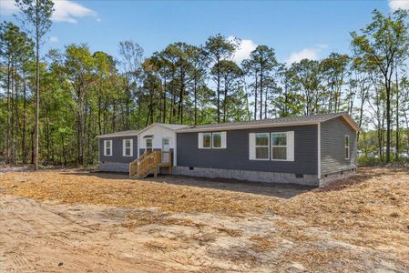 New construction Mobile Home house 2652 Burlington Rd, Walterboro, SC 29488 - image