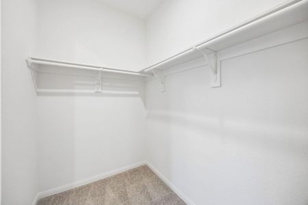 New construction Single-Family house 25194 Pomegranate Pl, Montgomery, TX 77316 - image 12