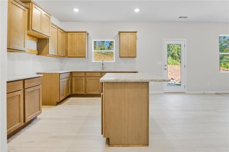 New construction Single-Family house 161 Bloomfield Cir, Canton, GA 30114 - image