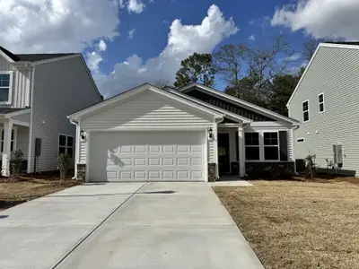 New construction Single-Family house 3667 Stedding Pl, Lexington, SC 29073 plan Brunswick - image