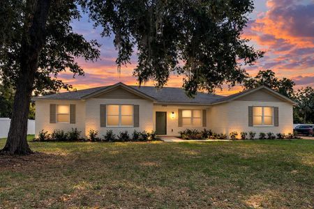 New construction Single-Family house 13532 14Th St, Dade City, FL 33525 - image