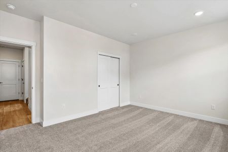 New construction Single-Family house 3047 Curly Grove, Colorado Springs, CO 80922 plan Primrose - image 14