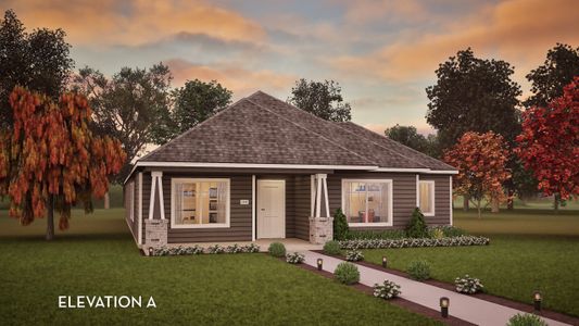 New construction Single-Family house 201 Pinkerton Dr, Hutto, TX 78634 plan Crockett - image