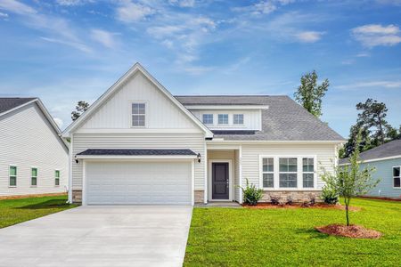 New construction Single-Family house 323 Dunlin Pl, Conway, SC 29526 Gwinnett- photo 0