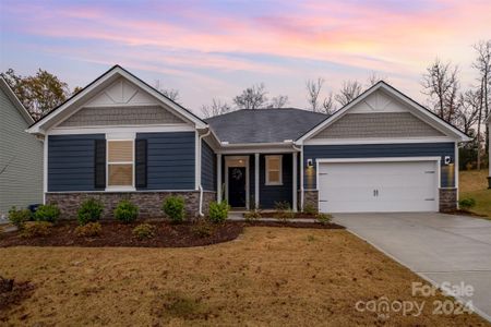 New construction Single-Family house 12213 Rowan Hill Drive, Huntersville, NC 28078 - photo 0