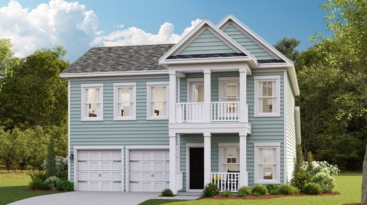 Wood Stork Landing: Arbor Collection 16