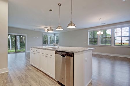 New construction Single-Family house 237 Creek Pointe Dr, Moncks Corner, SC 29461 plan Keeneland - image 6