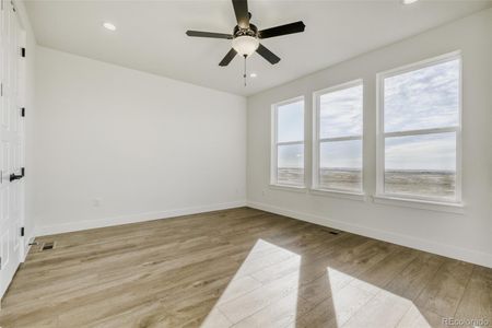 New construction Single-Family house 9659 Owl Perch Lp, Colorado Springs, CO 80908 plan C417 - image 14