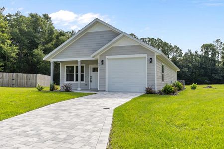 New construction Single-Family house 221 Sw 246Th Wy, Newberry, FL 32669 - image