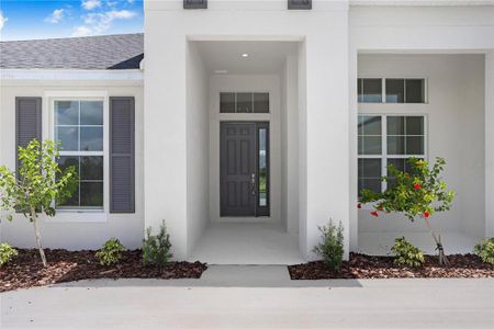 New construction Single-Family house 5112 Lake Toscana Dr, Wimauma, FL 33598 Burano- photo 2 2