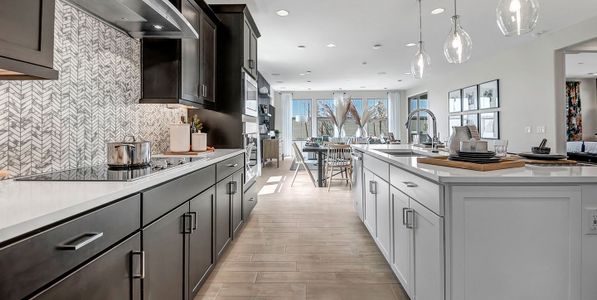 New construction Single-Family house 1490 W Macaw Dr, Queen Creek, AZ 85140 plan Citrine - image 8
