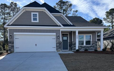 New construction Single-Family house 900 Birch Garden Dr, Unit 135, Longs, SC 29568 - image