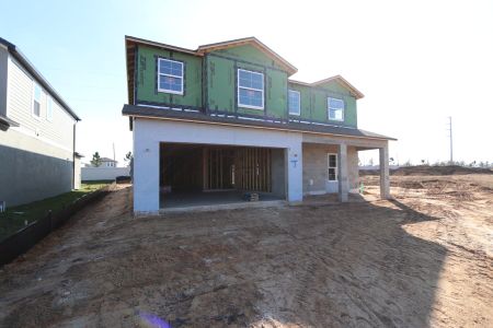 New construction Single-Family house 38318 Tobiano Loop, Dade City, FL 33525 Malibu- photo 49 49