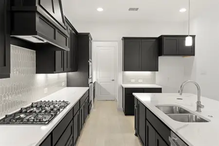 New construction Single-Family house 2031 Clairmount Dr, Rockwall, TX 75087 plan Louis 60 FT - image 5