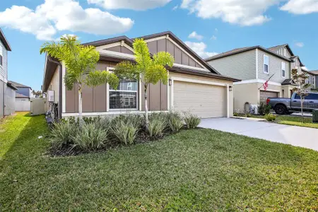 New construction Single-Family house 22162 Nebula Wy, Land O' Lakes, FL 34637 - image