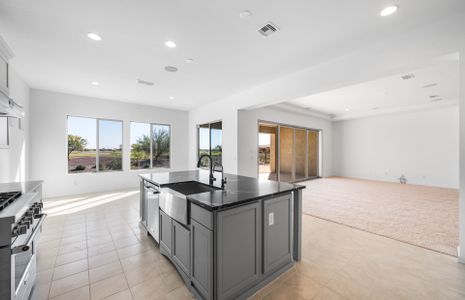 New construction Single-Family house 5285 N Riverside Dr, Florence, AZ 85132 plan Endeavor Final Opportunity - image 14