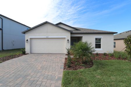 New construction Single-Family house 12227 Hilltop Farms Dr, Dade City, FL 33525 Sentinel- photo 106 106