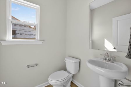 New construction Single-Family house 96 Eagle Rock Dr, Lillington, NC 27546 - image 3