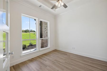 Unfurnished room featuring ceiling fan, crown molding, light hardwood / wood-style floors, and plenty of natural light