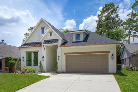 New construction Single-Family house 4945 Pleasure Lake Ln, Willis, TX 77318 - image