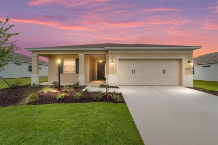 New construction Single-Family house 10361 Sw 106Th Ct, Ocala, FL 34481 - image