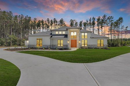 New construction Single-Family house 16081 Forest Mill Rd, Willis, TX 77378 null- photo 0
