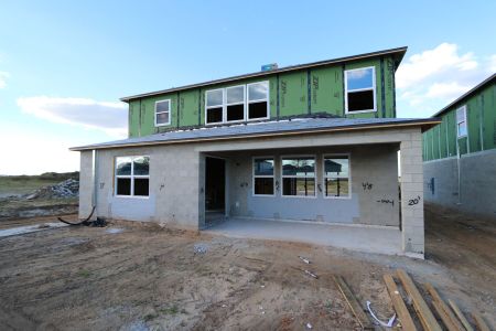 New construction Single-Family house 38326 Tobiano Loop, Dade City, FL 33525 Casanova- photo 30 30