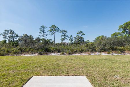 New construction Single-Family house 4631 San Lorenzo Dr, Sebring, FL 33872 - image 18