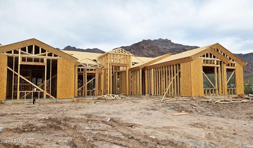 New construction Single-Family house W Hooper Trail, Queen Creek, AZ 85144 - photo 1 1