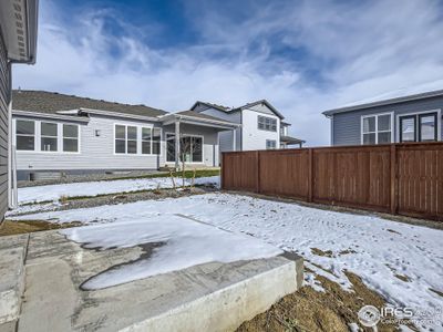 New construction Single-Family house 2071 Dusk Ct, Windsor, CO 80550 Plan C502- photo 2 2