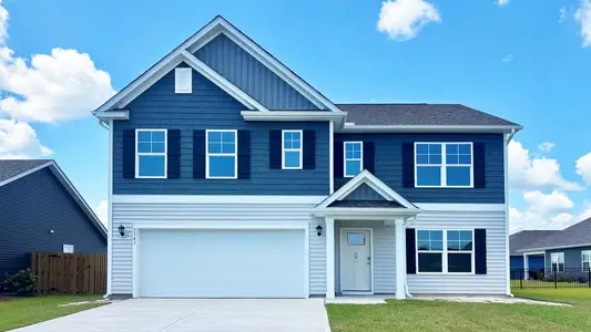 New construction Single-Family house 1141 Pampas Grass Dr, Castle Hayne, NC 28429 plan Hayden - image