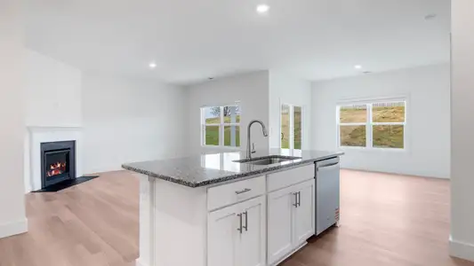 New construction Single-Family house 5154 Grist Ln, Morristown, TN 37813 plan Aria - image 5