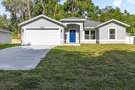 New construction Single-Family house 12974 Se 42Nd Ct, Belleview, FL 34420 - image