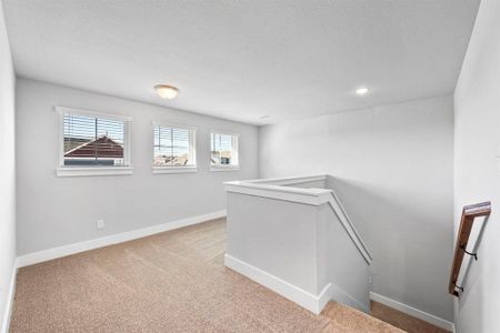 New construction Single-Family house 10907 Rochelle, Grand Prairie, TX 75052 Mathis- photo 22 22