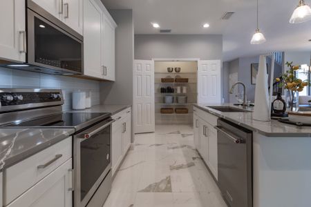 New construction Single-Family house 6725 Golden Eagle Blvd, Howey-in-the-Hills, FL 34737 plan Lopez - image 10