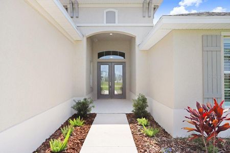 New construction Single-Family house 5214 Lake Venice Dr, Wimauma, FL 33598 Chiana- photo 3 3