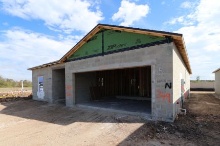 New construction Single-Family house 3150 Adams Cross Dr, Zephyrhills, FL 33540 Miranda- photo 42 42