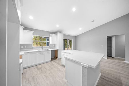 New construction Single-Family house 14 Guava Terrace Trce, Ocklawaha, FL 32179 null- photo 11 11