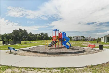 New construction Single-Family house 176 Flag Lilly Ln, Umatilla, FL 32784 Slate- photo 17 17