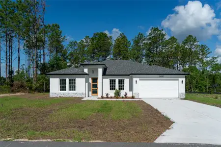 New construction Single-Family house 13420 Sw 77Th Ave, Ocala, FL 34473 - image