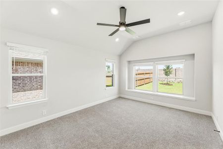 New construction Single-Family house 1144 Hitching Post Wy, Oak Point, TX 75068 plan Violet IV - image 17