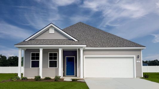 New construction Single-Family house 145 Homestead Wy, Myrtle Beach, SC 29588 plan Aria - image