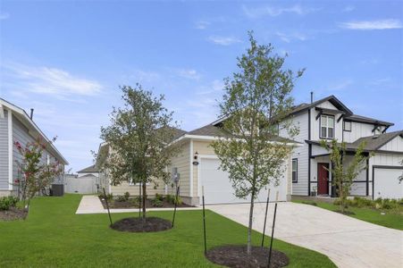 New construction Single-Family house 150 Lavender Ln, Elgin, TX 78621 Harvest Ridge 1514- photo 2 2