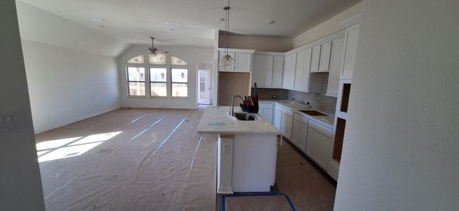 New construction Single-Family house 13524 Wandering Rhett Dr, Elgin, TX 78621 Premier Series - Juniper- photo 11 11