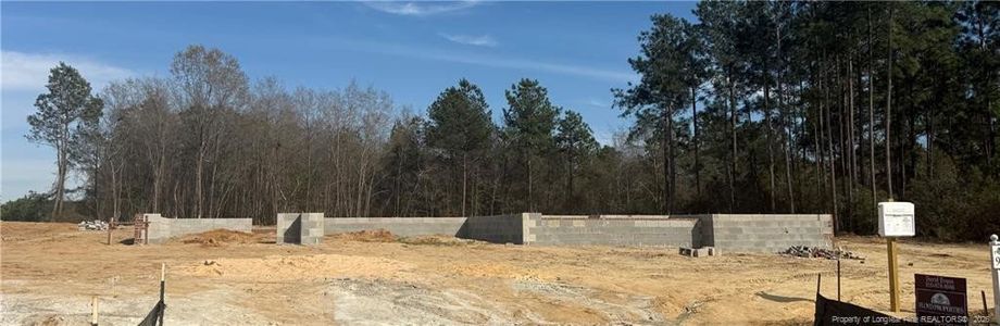 New construction Single-Family house 1959 Thomas Wood Dr, Fayetteville, NC 28306 - image