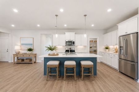 New construction Single-Family house 3196 Zeppelin Ln, Sumter, SC 29154 plan Nathaniel - image