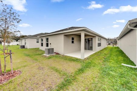 New construction Single-Family house 8560 Caribbean Pine Way, Lakeland, FL 33809 null- photo 14 14