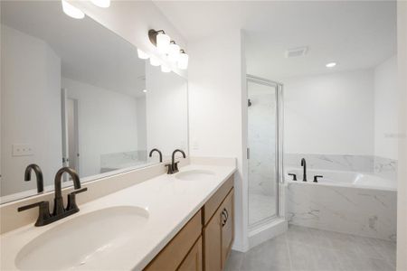 New construction Single-Family house 3432 Blueberry Trl, Bartow, FL 33830 - image 9