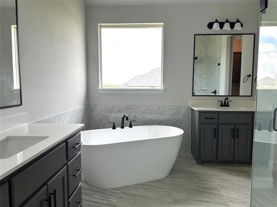 155 Knoll Trail Primary luxury tub