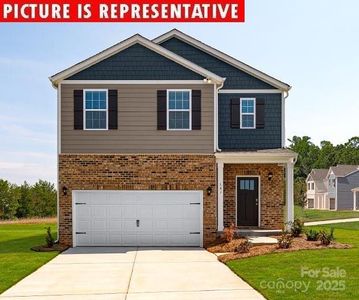 New construction Single-Family house 12027 Zazu Wy, Charlotte, NC 28215 plan Robie - image